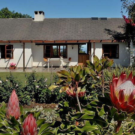 Heatherhill Farmhouse - Sea & Mountain Views Plettenberg Bay Exteriér fotografie