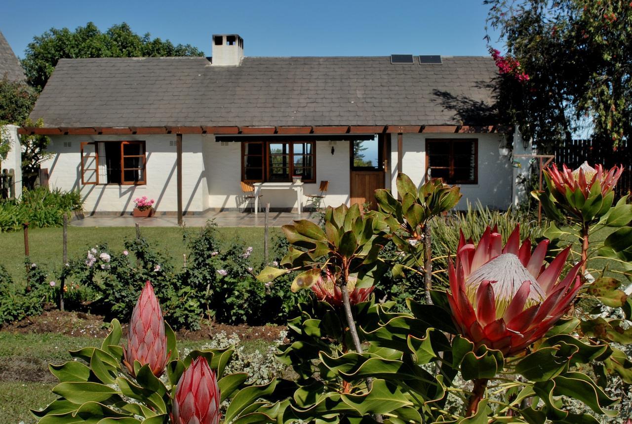 Heatherhill Farmhouse - Sea & Mountain Views Plettenberg Bay Exteriér fotografie