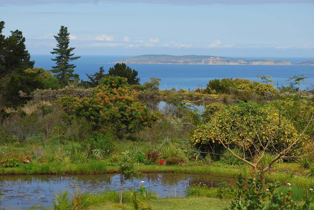 Heatherhill Farmhouse - Sea & Mountain Views Plettenberg Bay Exteriér fotografie